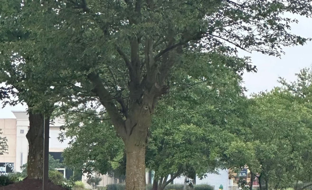 "Why is this a thing?"