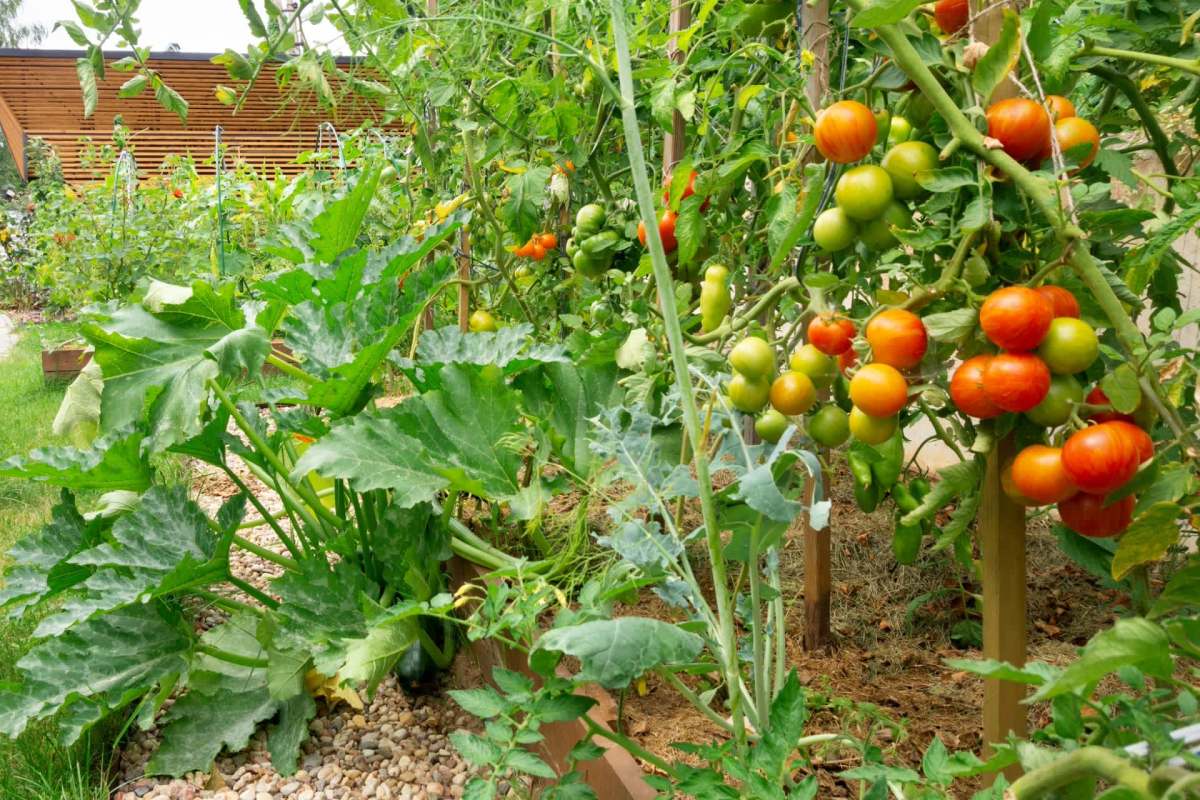 "No wonder the combo tastes so good."