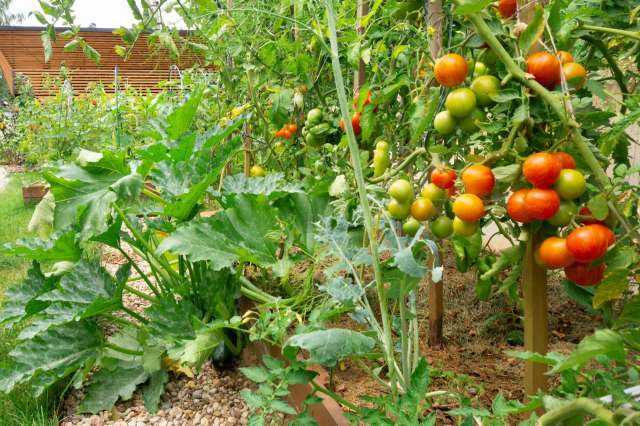 "No wonder the combo tastes so good."