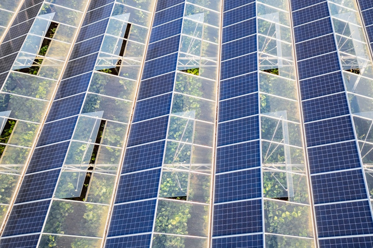 It shows a very real way forward for the future of both agriculture and renewable energy.