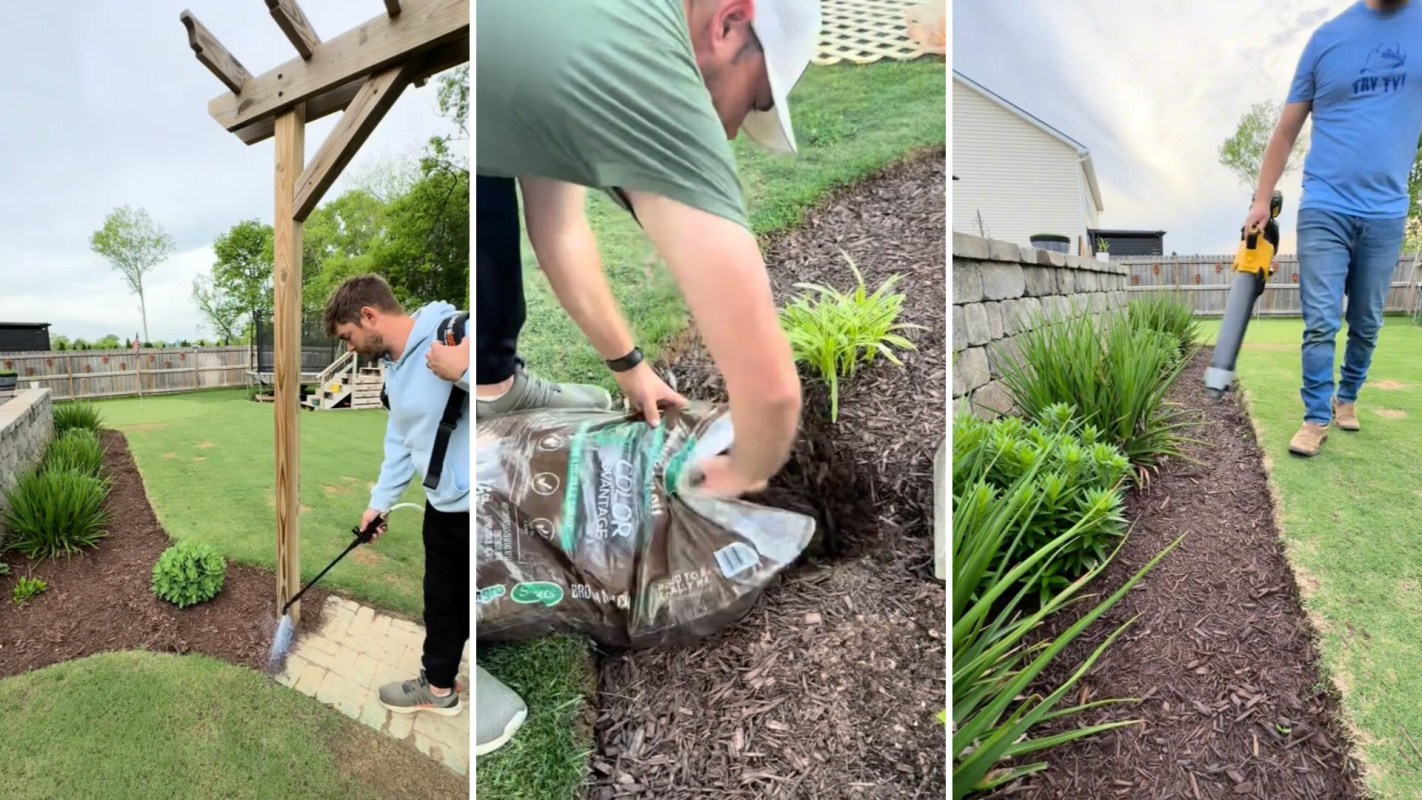 TikTok users voiced their concerns.