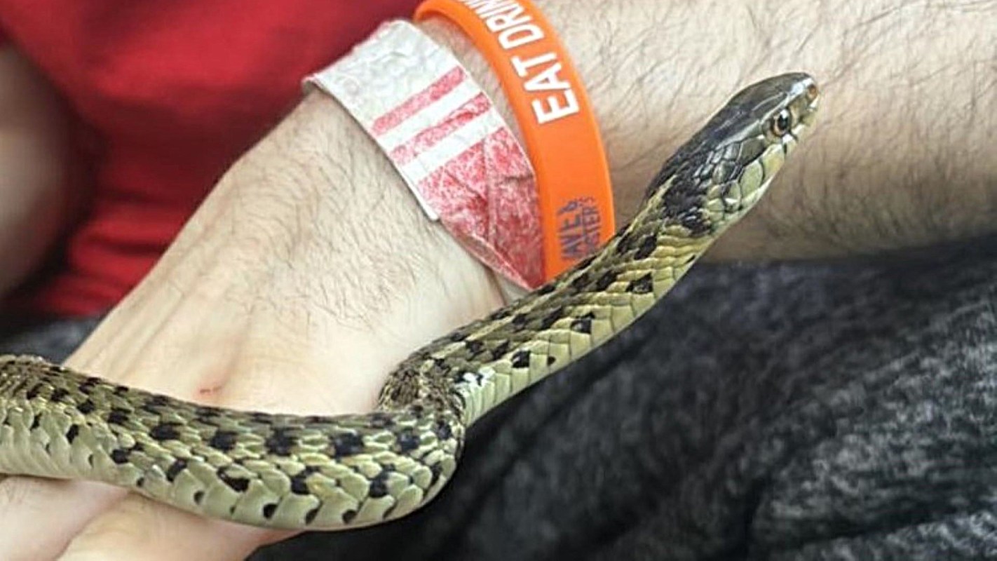 "Everything turned out OK."