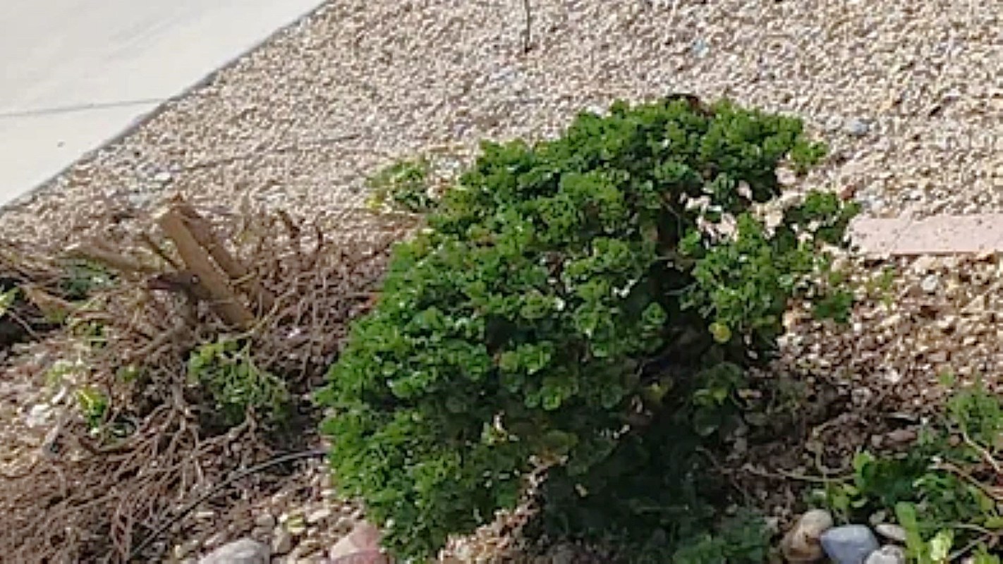 Others agreed that what this HOA did was awful.