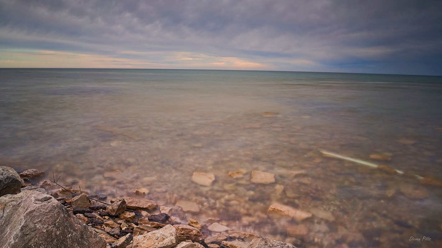 "They float alone for a time, but eventually form colonies."