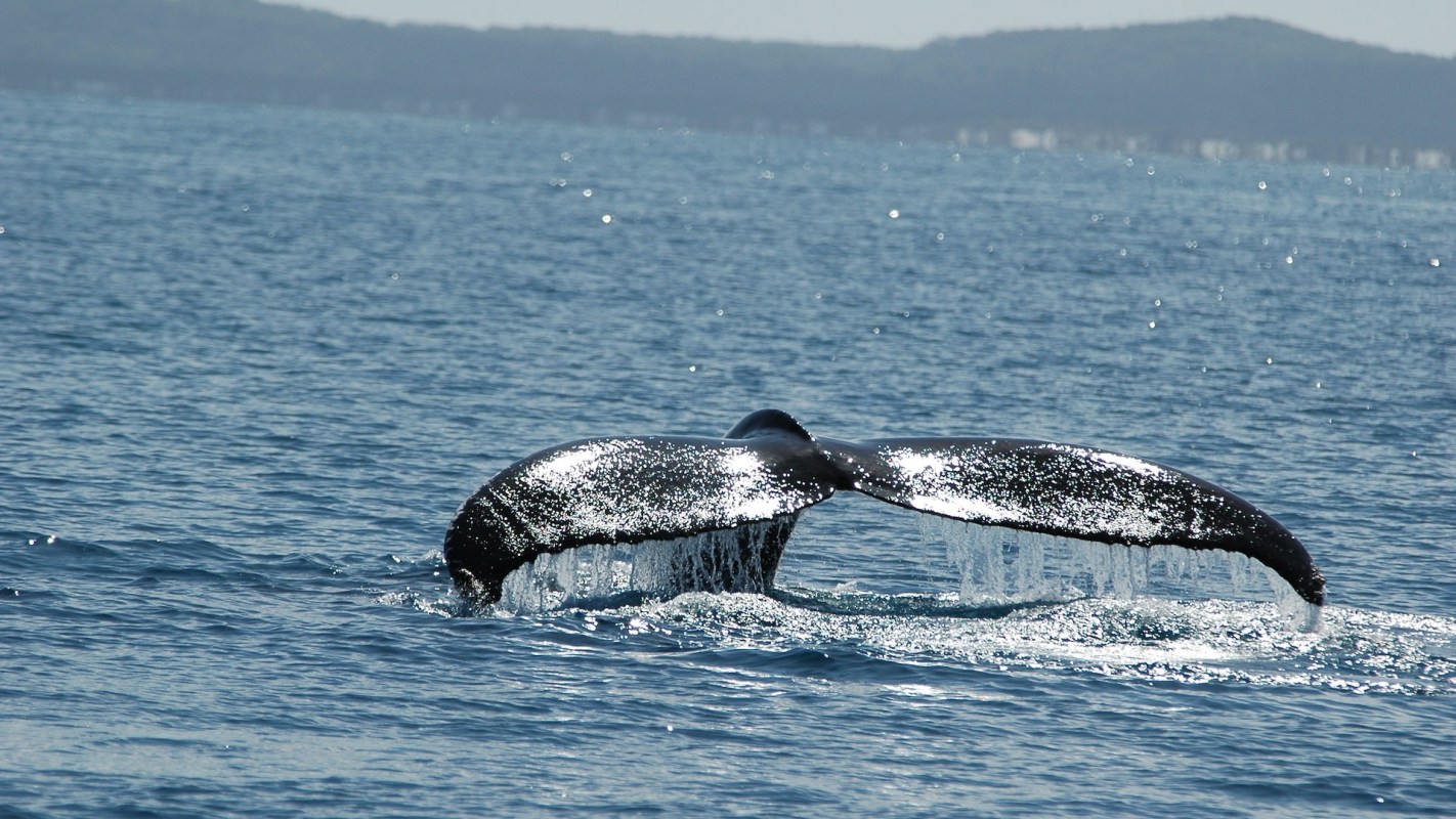 "We tend to keep our distance."