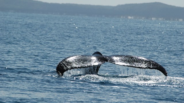 "We tend to keep our distance."