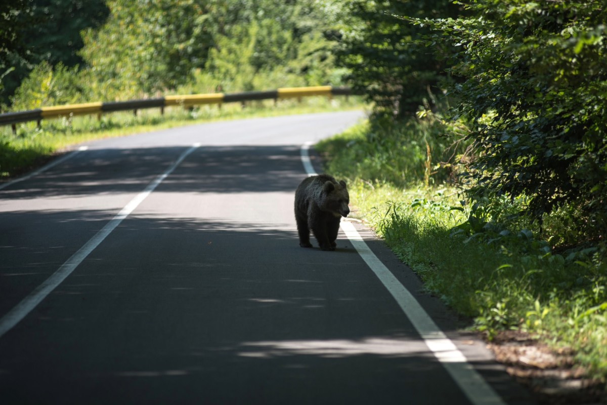 Glacier National Park