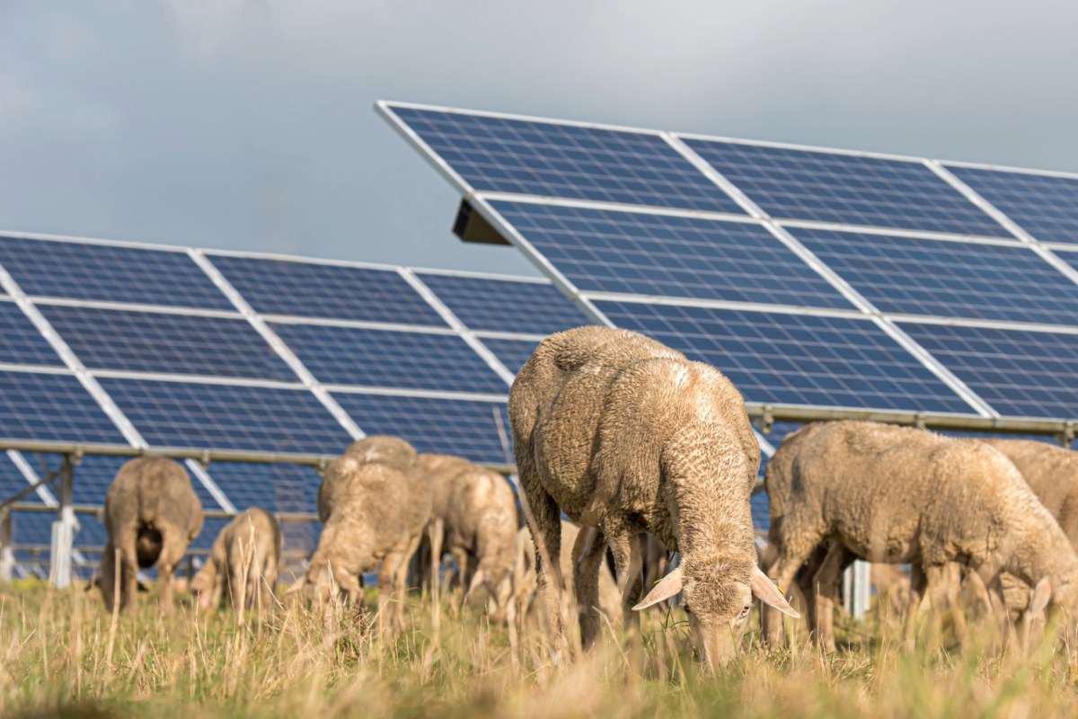 "Undergoing rapid growth."