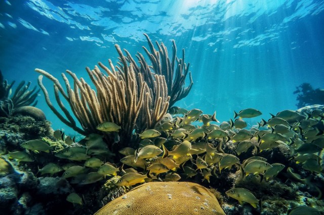 "These incredible organizations are sharing knowledge, science, and lessons learned."