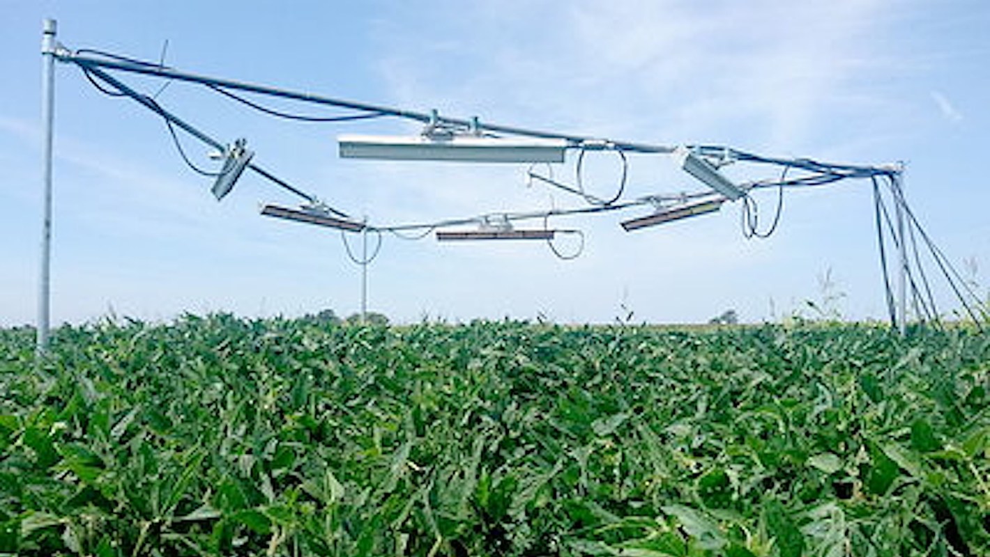 About one in 11 people worldwide, or 733 million, "faced hunger" in 2023.