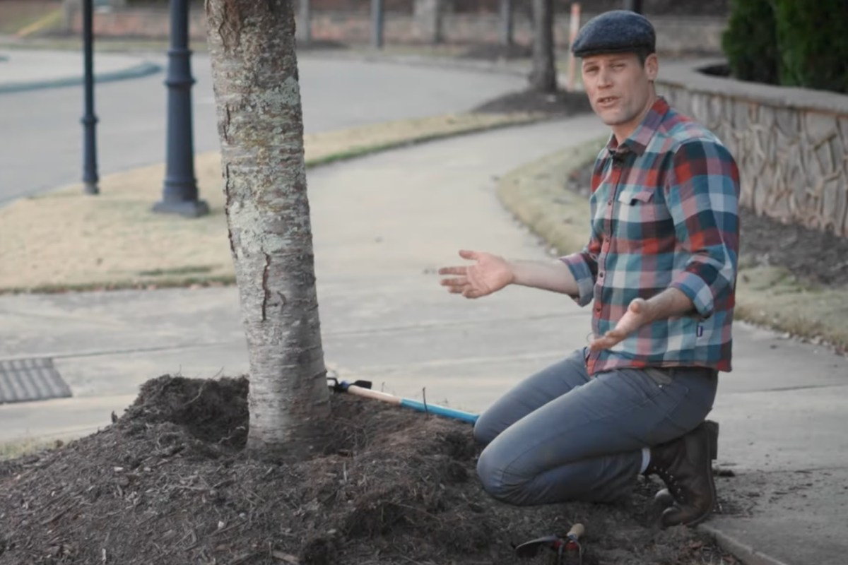 "My HOA ... refuses to stop paying our landscaping company to [do this]."