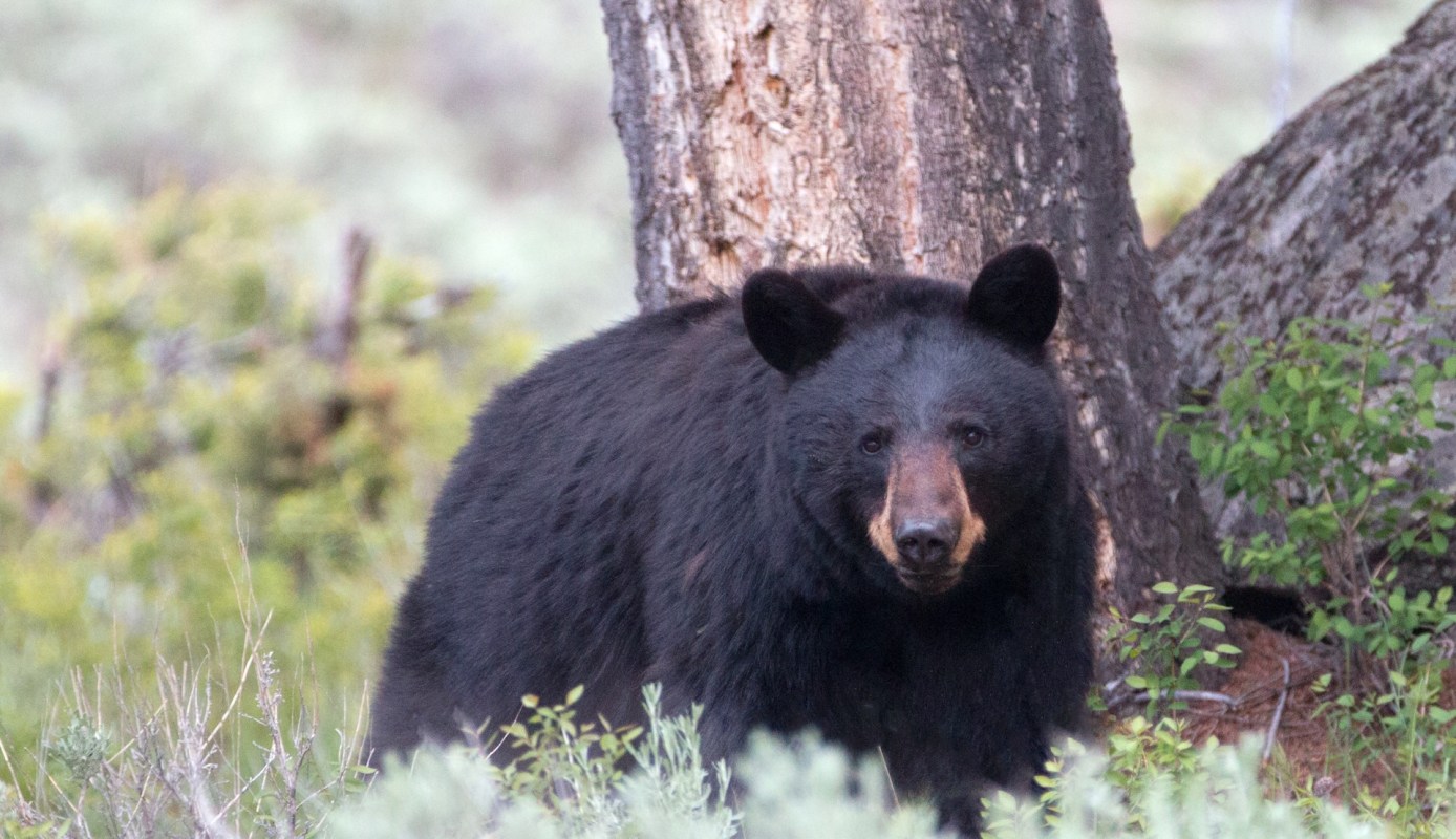 "We sometimes have to make the difficult decision."