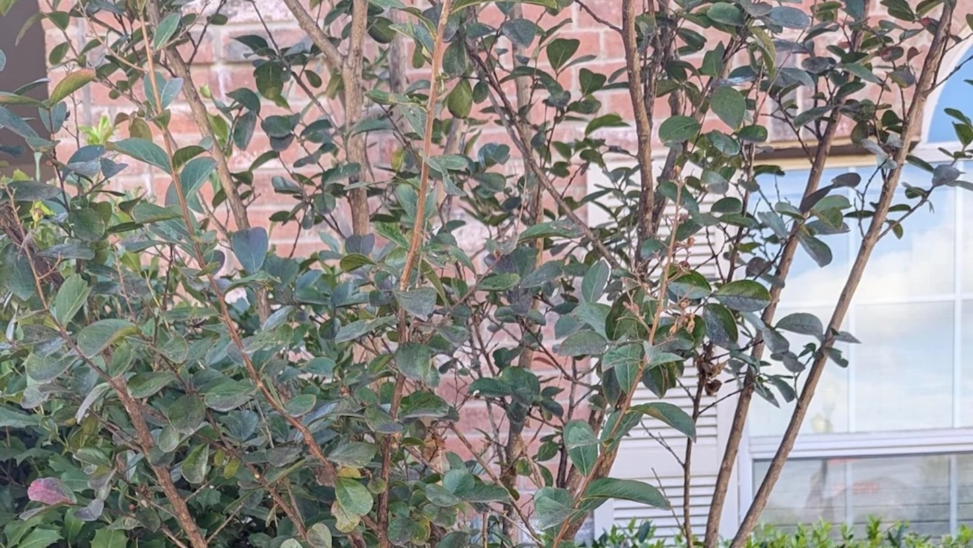 "Tell one of the board members, or the management company, to meet you at your house."