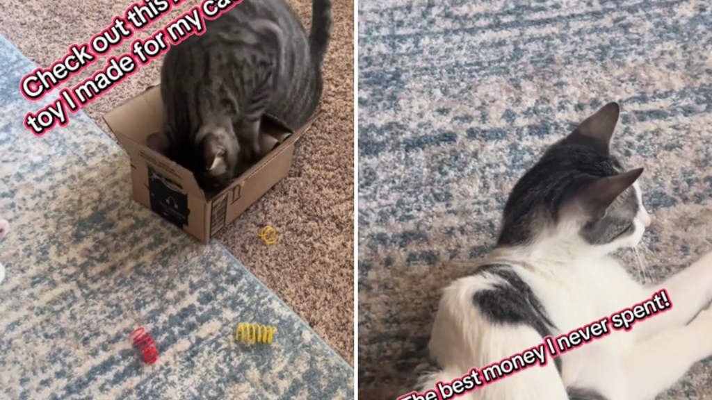 How to Make Paper Cat Toys: Easy DIY Ideas Your Cat Will Love