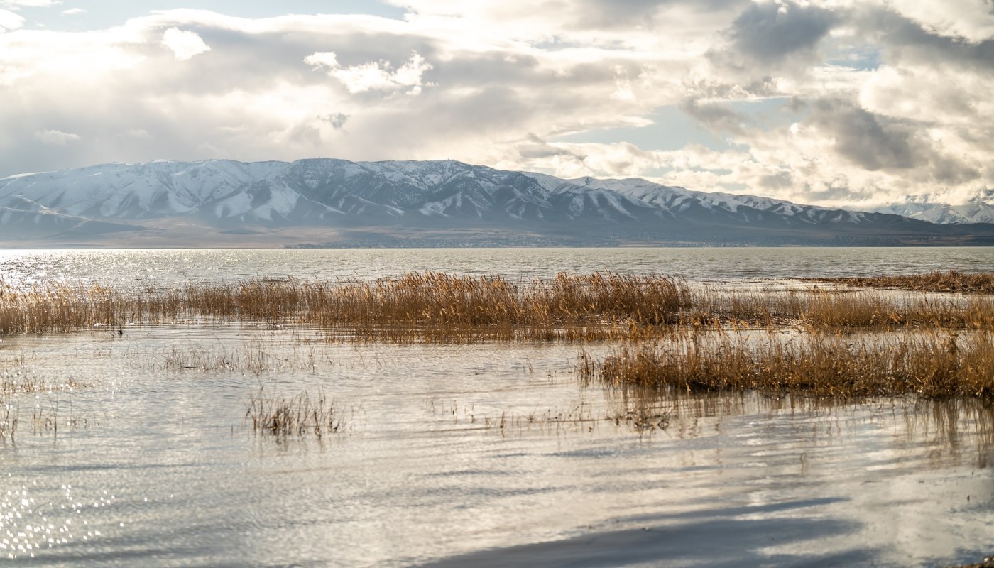 "It helps the vegetation, gives it a chance to get reestablished."