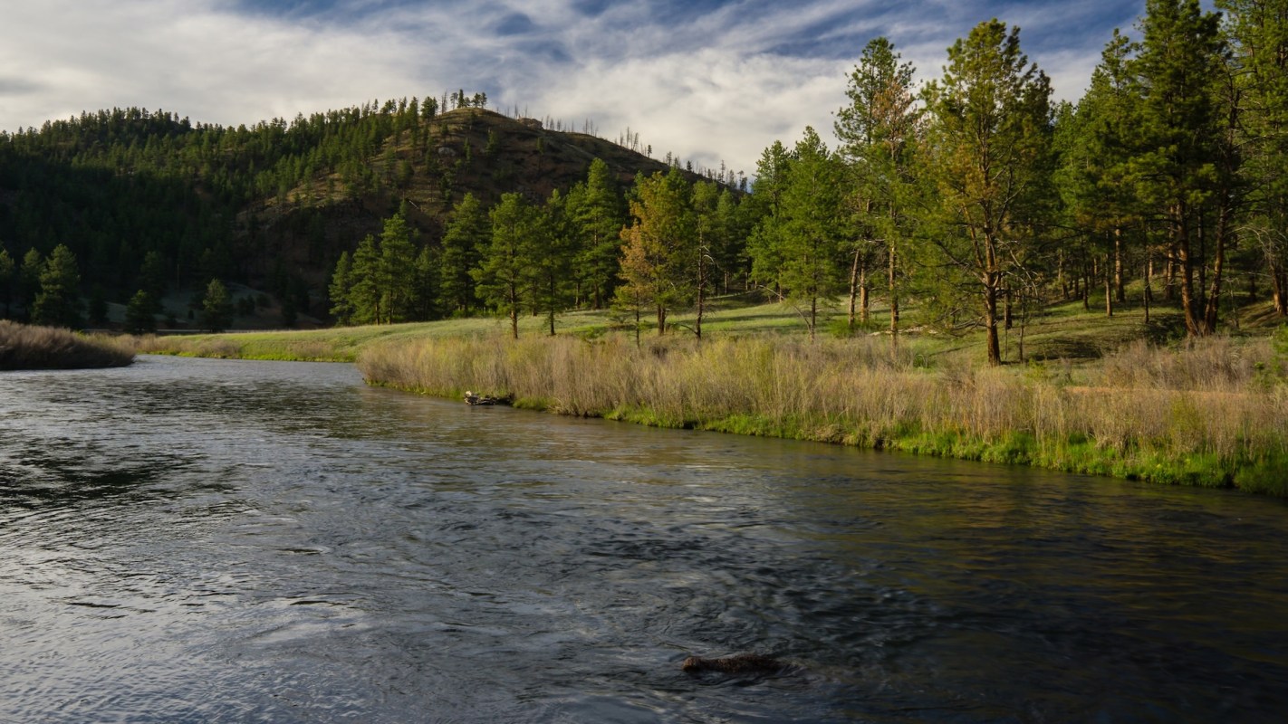 Many local guides support the new regulation.