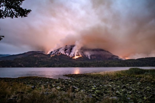 "We want to be able to leave this area confident that this fire is not going to pose any issues or risks."