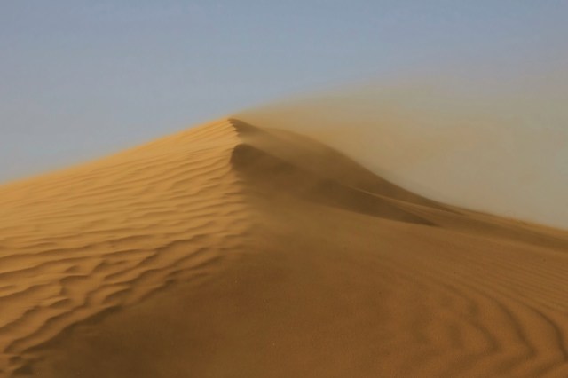 This contradicts what scientists previously thought.