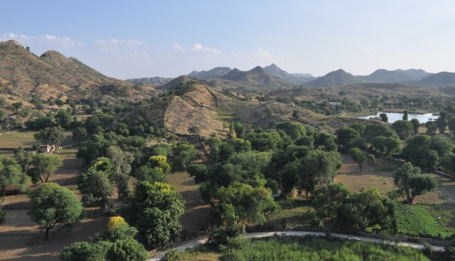 It is, unfortunately, very lucrative.