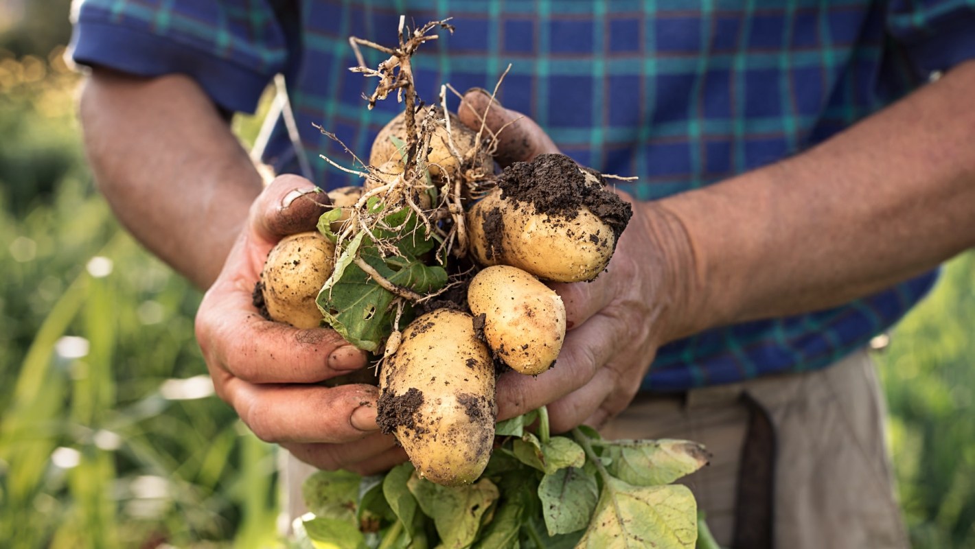 "Thank you for teaching me!"