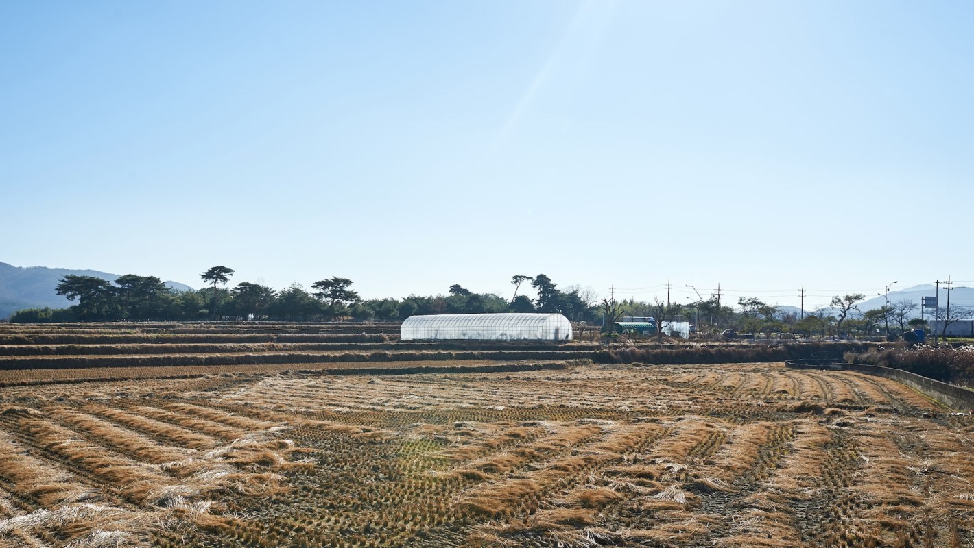 Shoppers are upset over the inflated prices.