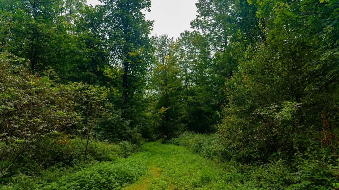 Any ban or restriction on hunting or fishing can attract controversy.