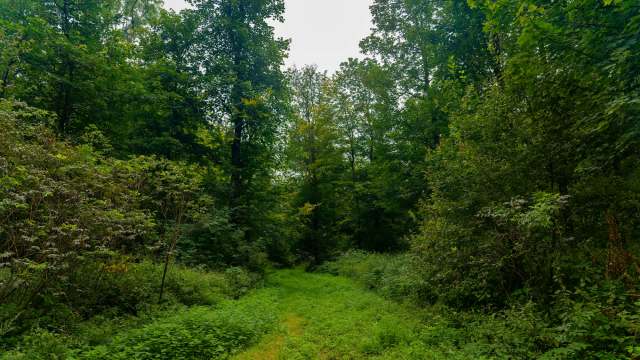 Any ban or restriction on hunting or fishing can attract controversy.