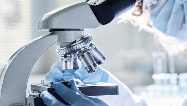 "By changing the combination of ion species, we were able to switch from a cooperative effect to an inhibitory effect."