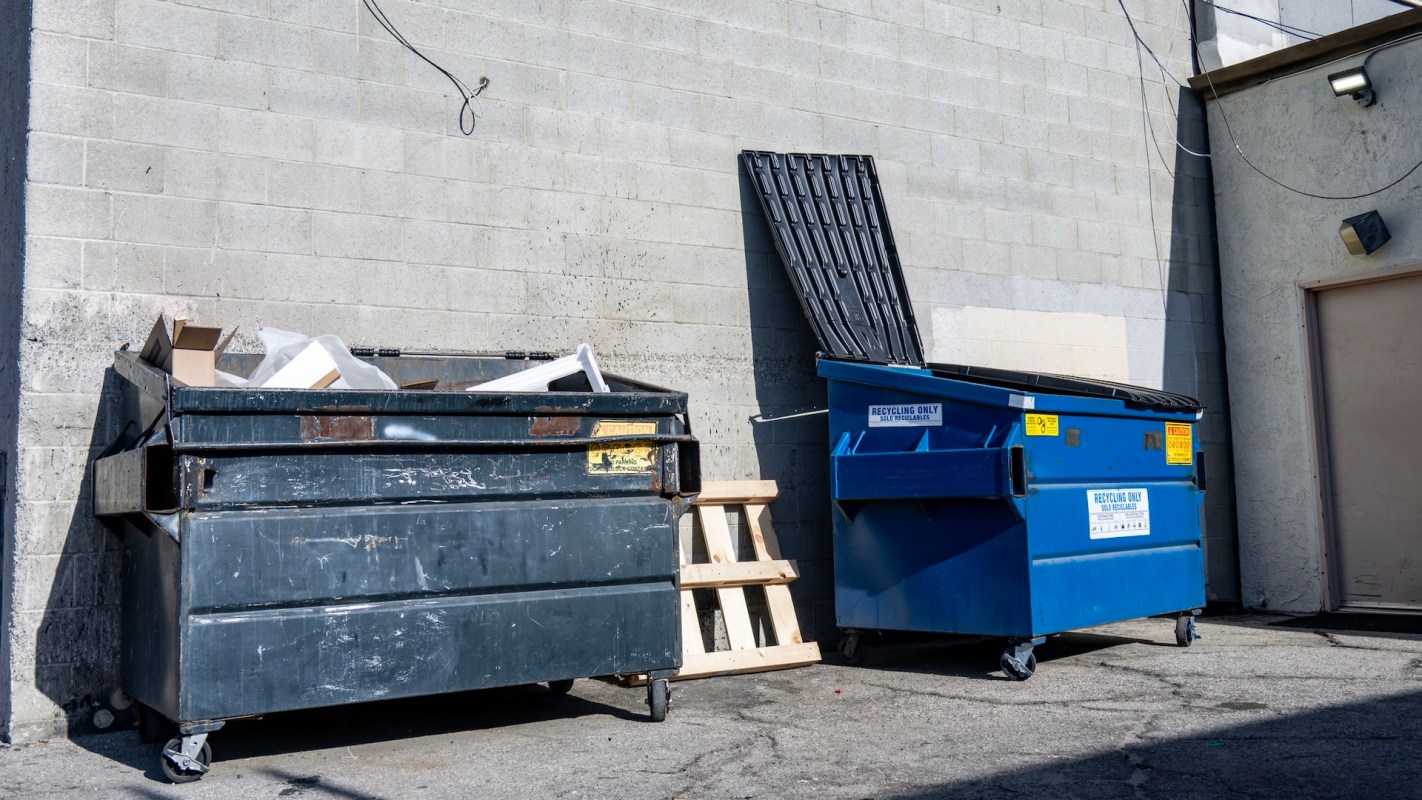 "What an awesome find."