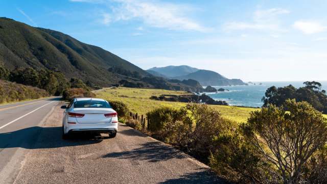 The pest is swallowing people's docks and obstructing shorelines.