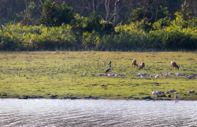 "Having a serious impact."