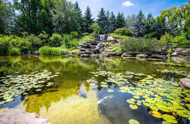 They pose a serious threat.