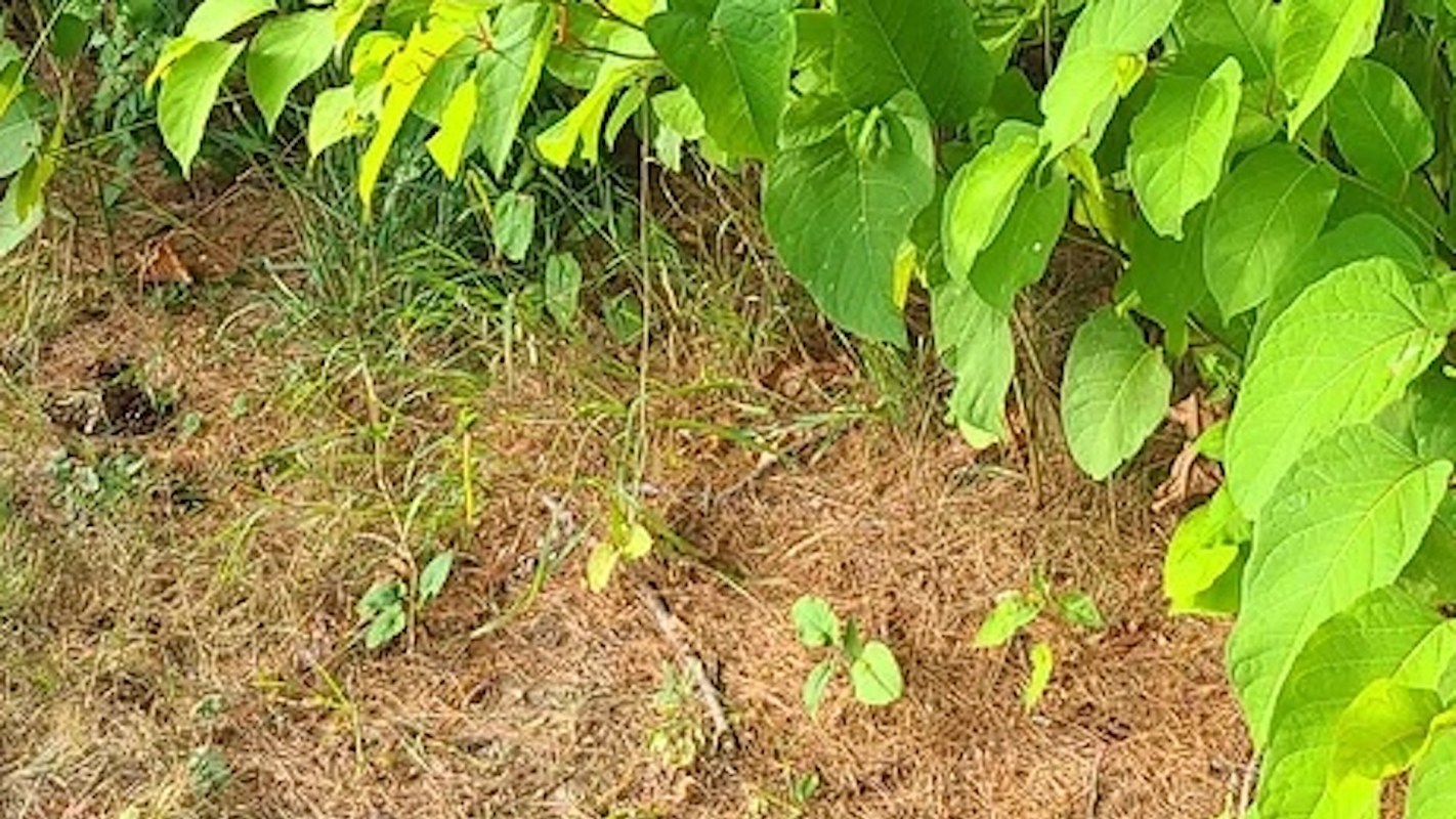 "Keep fighting the good fight."