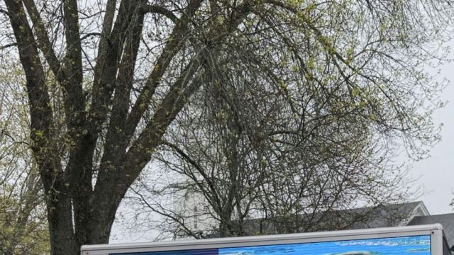 "I've always found it odd."