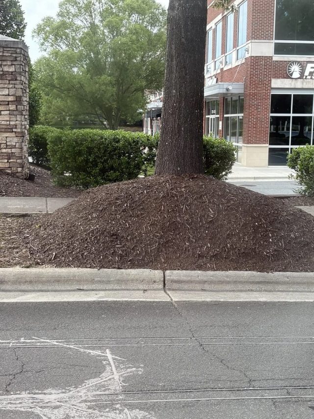 "I'm surprised it's not spilling over on the street."