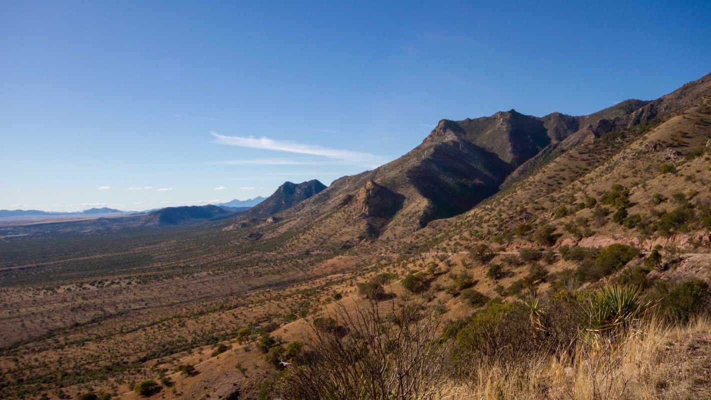 The story highlights the critical role that trail cameras can play in wildlife conservation.