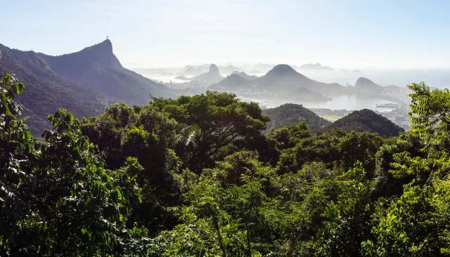 As apex predators, they perform an essential ecological role.