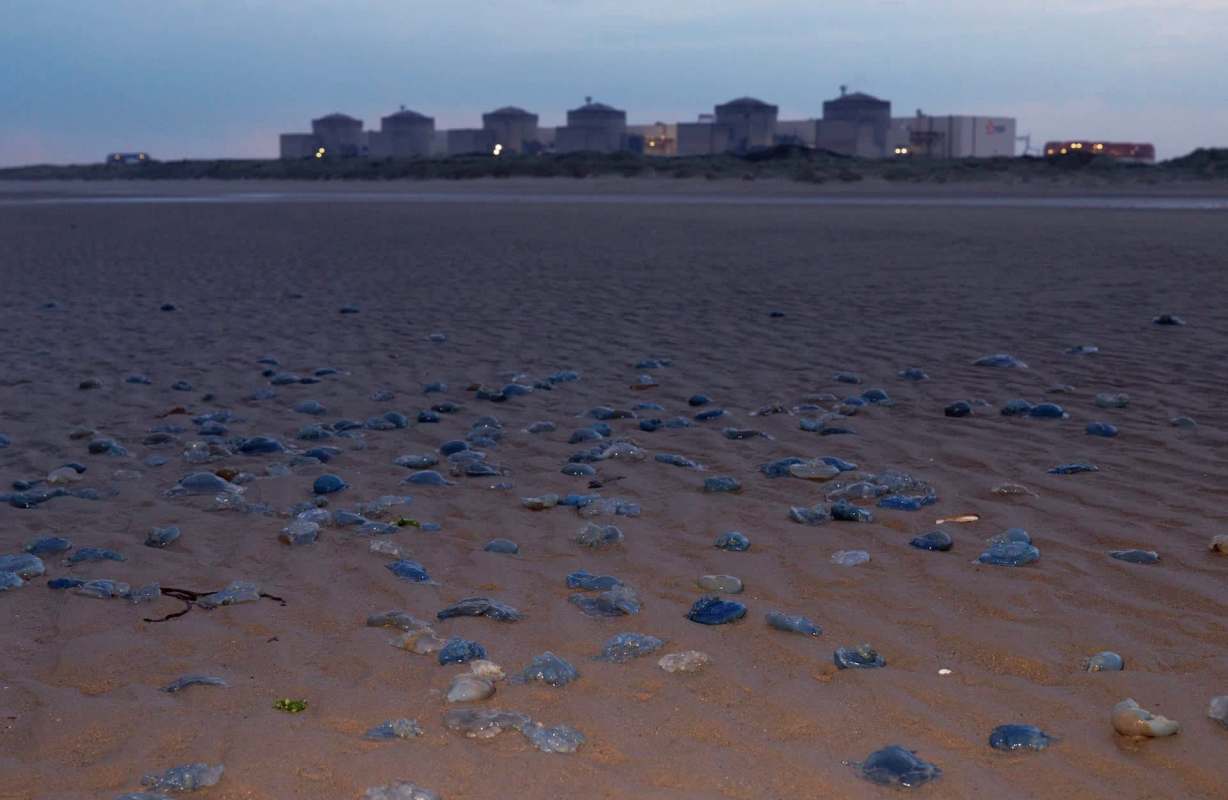 The circumstances highlight a greater issue.