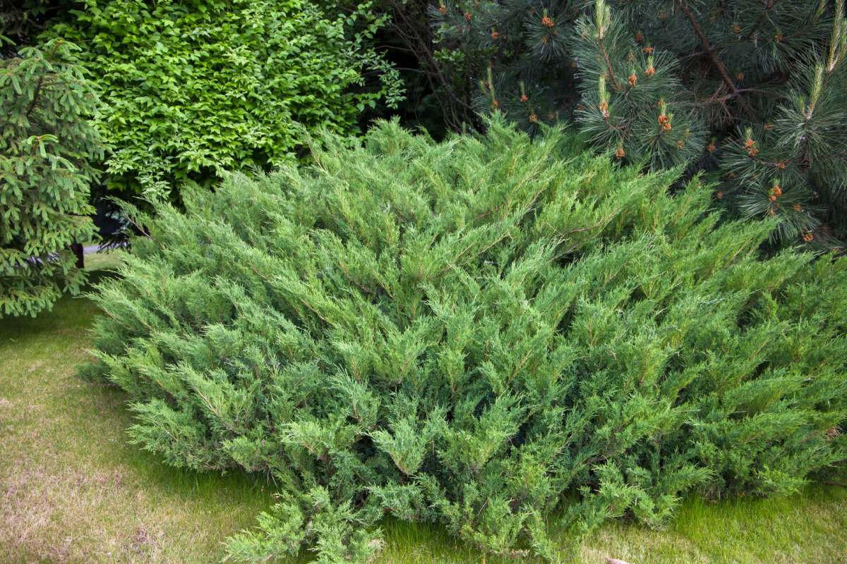 The scheme illustrates the power of action taken at the local level.