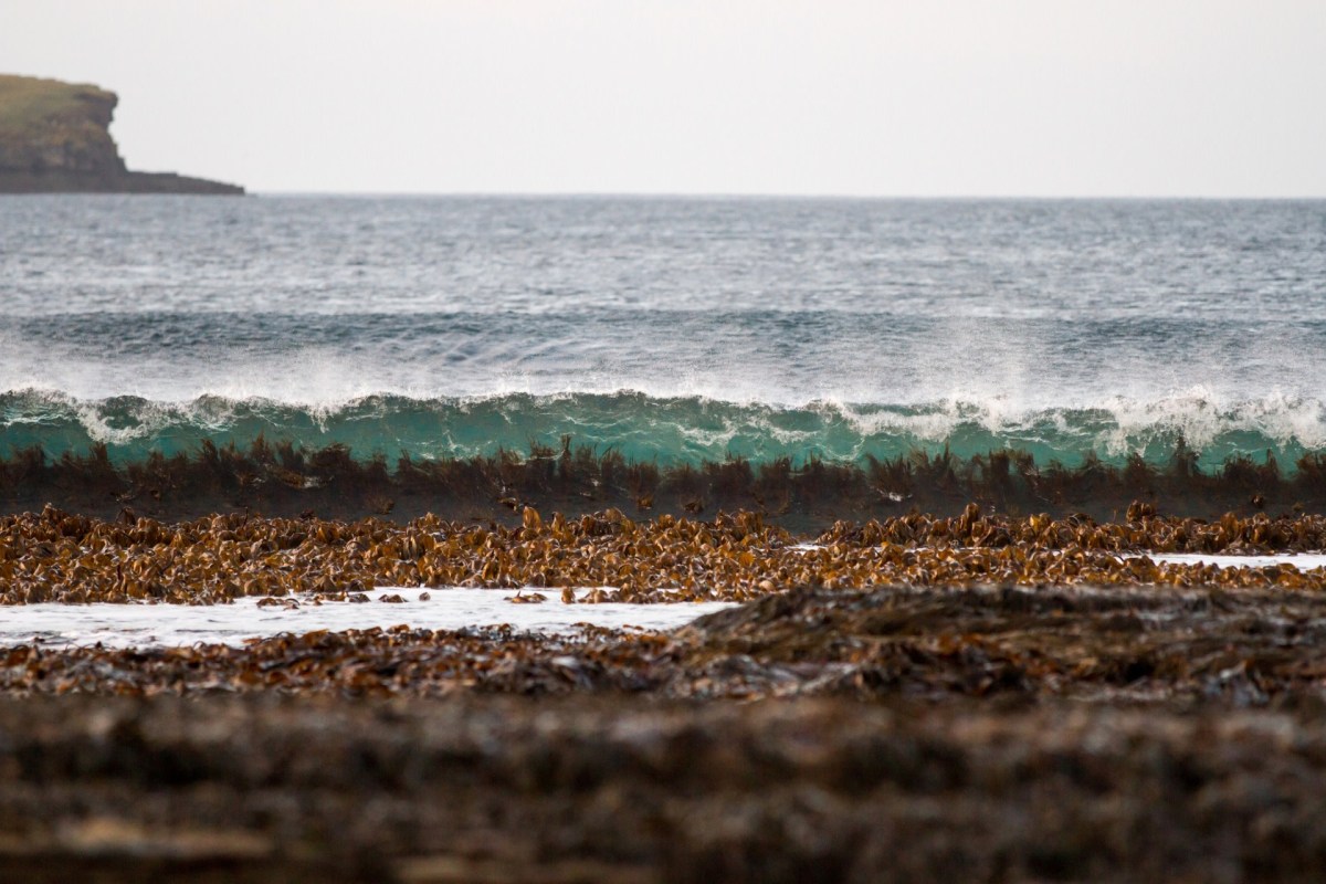 This discovery comes at a time when many coastal areas are seeing storms grow more intense and destructive.