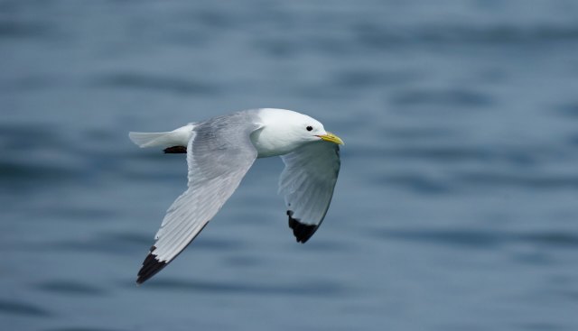 "Last summer, I was shocked."