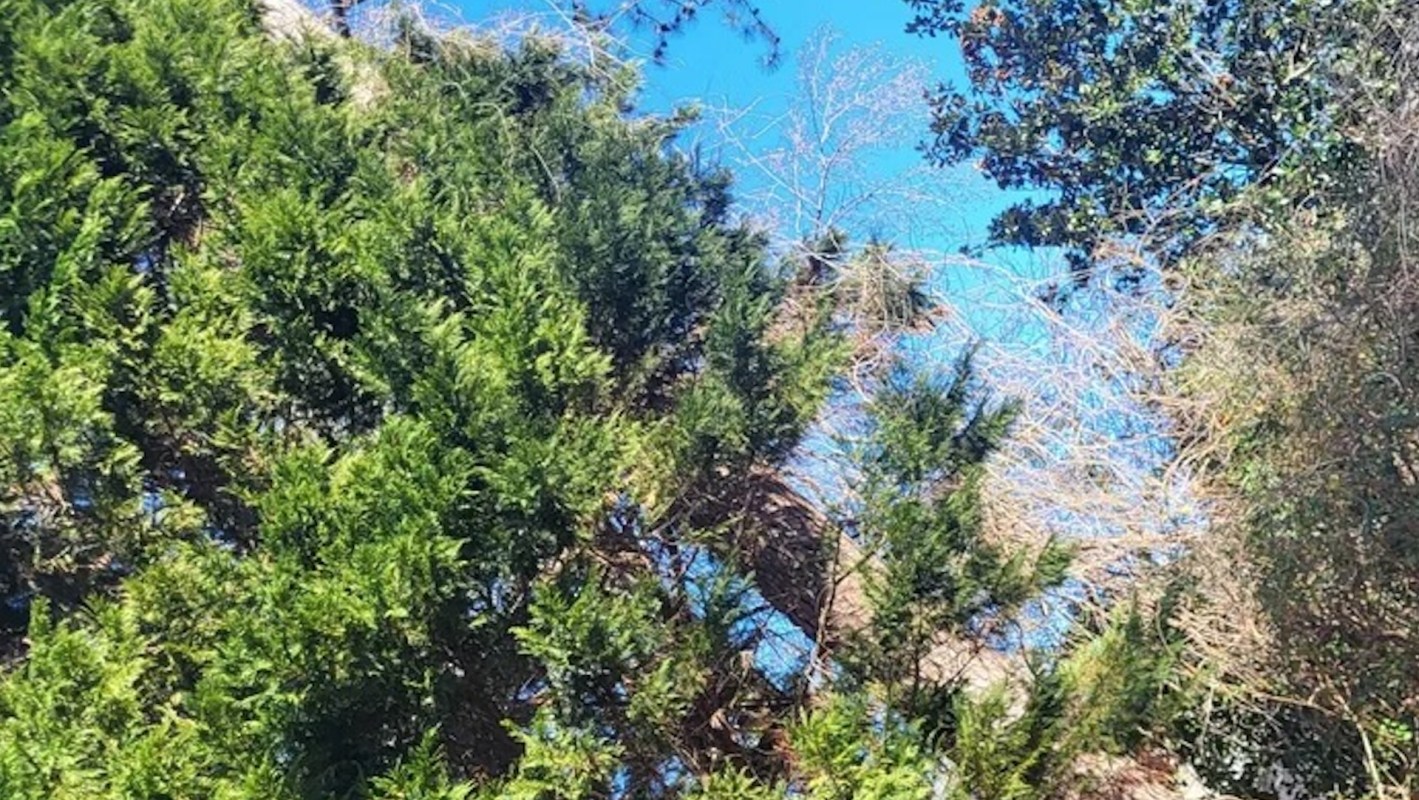 "You're in for a ton of work."