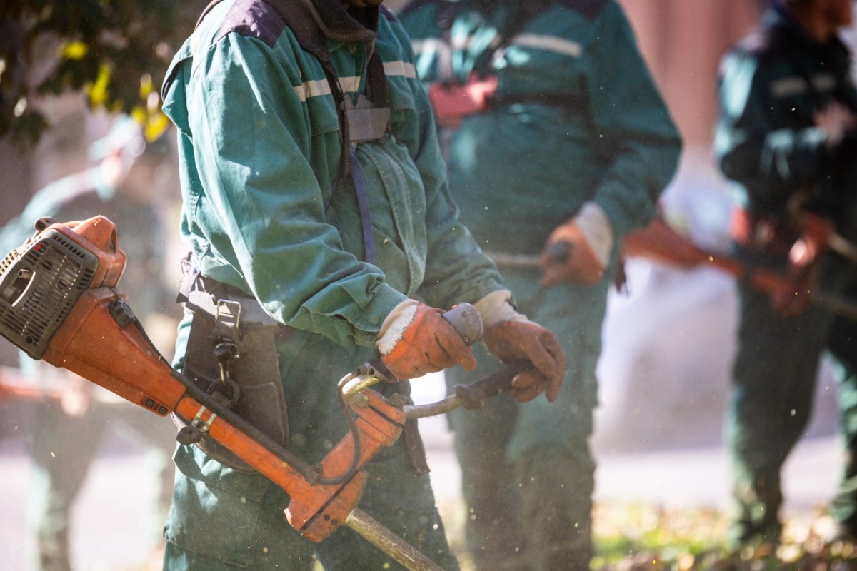 "No warning, no collaboration."