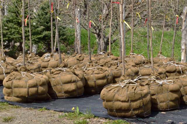 "Pretty ridiculous."