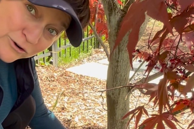 "Thanks for this reminder."