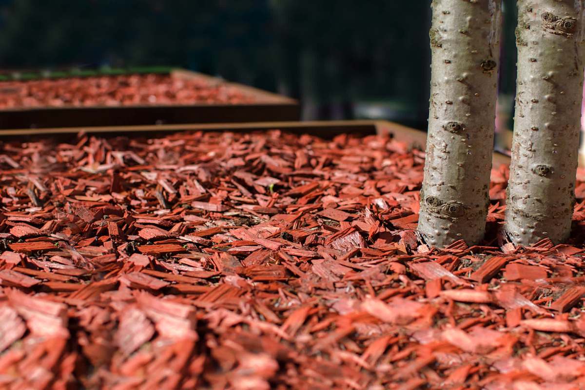 "It's not good for plants."