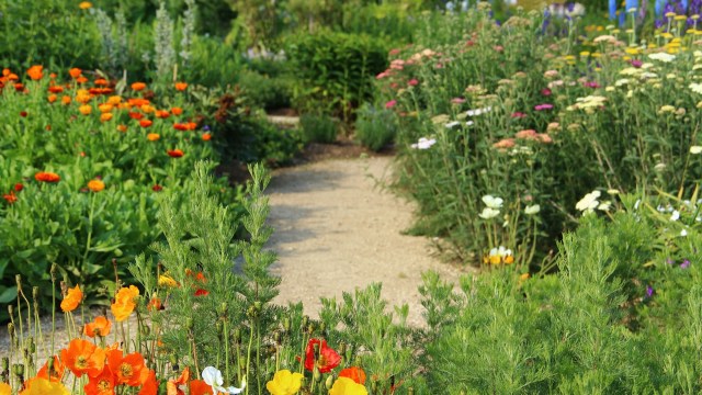 It has many negative impacts.