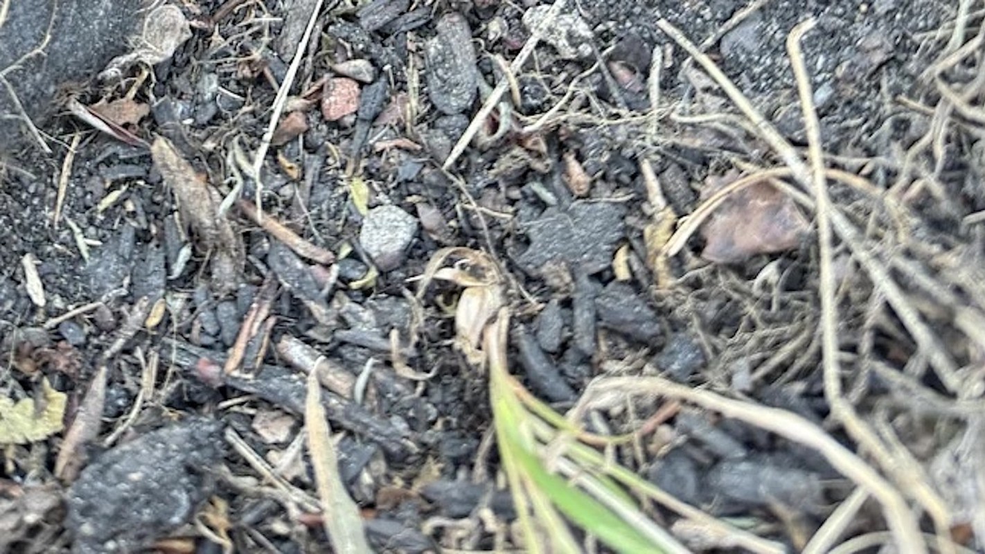 It presents several problems.