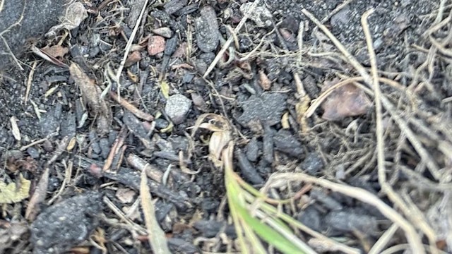 It presents several problems.