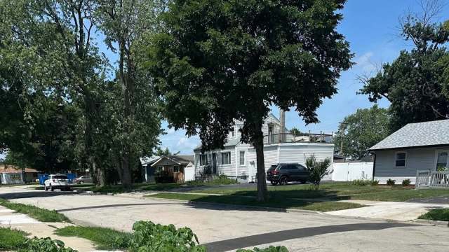 "You'll be chasing them all around your yard and the neighborhood for the next decade."